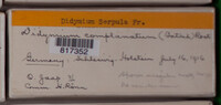 Image Associated With the Occurence